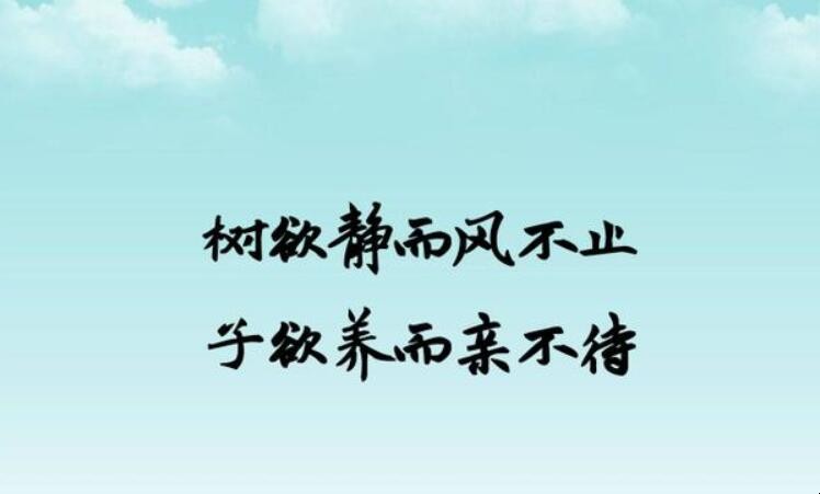 树欲静而风不止子欲养而亲不待