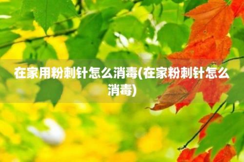 在家用粉刺针怎么消毒(在家粉刺针怎么消毒)