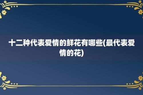 十二种代表爱情的鲜花有哪些(最代表爱情的花)