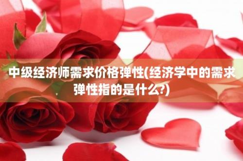 中级经济师需求价格弹性(经济学中的需求弹性指的是什么?)