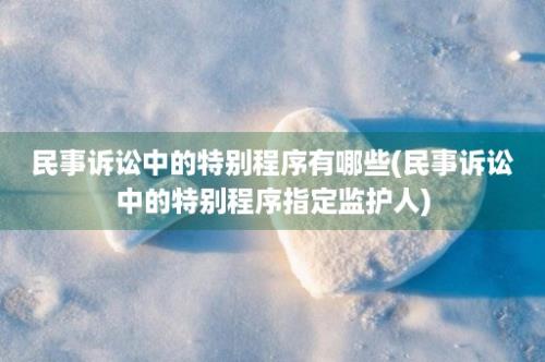 民事诉讼中的特别程序有哪些(民事诉讼中的特别程序指定监护人)