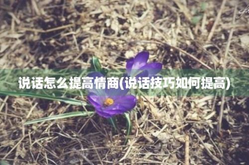 说话怎么提高情商(说话技巧如何提高)