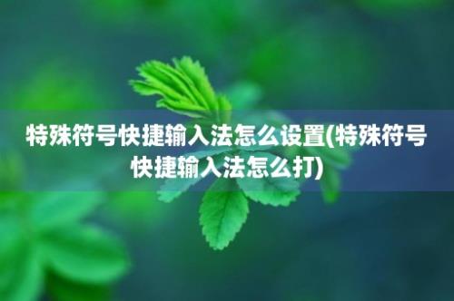 特殊符号快捷输入法怎么设置(特殊符号快捷输入法怎么打)