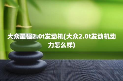 大众最强2.0t发动机(大众2.0t发动机动力怎么样)