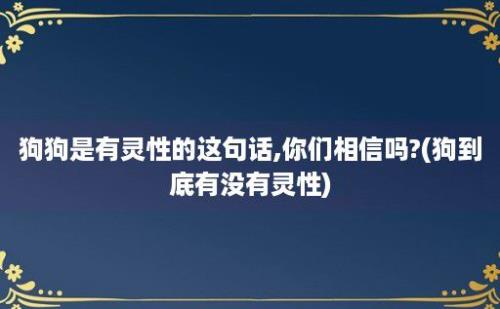 狗狗是有灵性的这句话,你们相信吗?(狗到底有没有灵性)