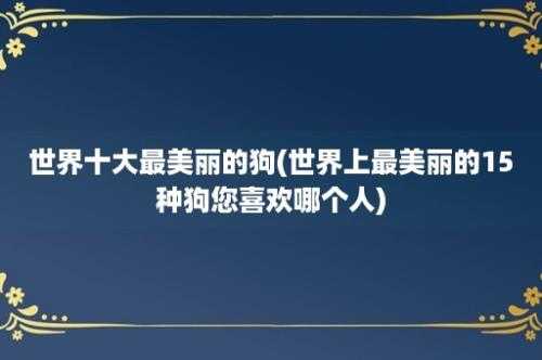 世界十大最美丽的狗(世界上最美丽的15种狗您喜欢哪个人)