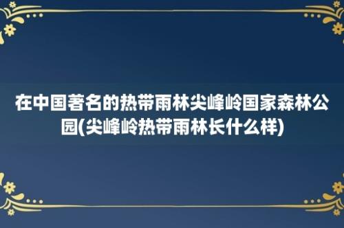 在中国著名的热带雨林尖峰岭国家森林公园(尖峰岭热带雨林长什么样)