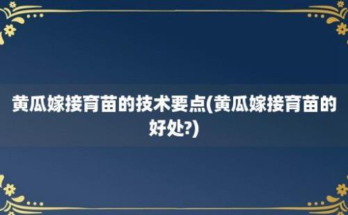 黄瓜嫁接育苗的技术要点(黄瓜嫁接育苗的好处?)