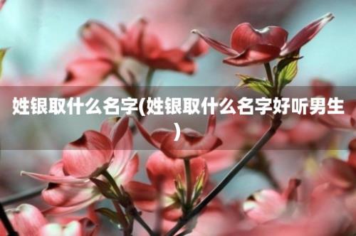 姓银取什么名字(姓银取什么名字好听男生)