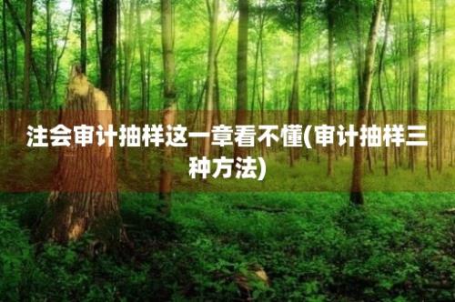 注会审计抽样这一章看不懂(审计抽样三种方法)