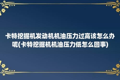 卡特挖掘机发动机机油压力过高该怎么办呢(卡特挖掘机机油压力低怎么回事)