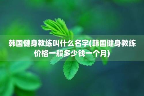 韩国健身教练叫什么名字(韩国健身教练价格一般多少钱一个月)