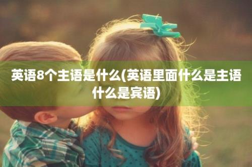 英语8个主语是什么(英语里面什么是主语什么是宾语)