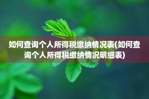 如何查询个人所得税缴纳情况表(如何查询个人所得税缴纳情况明细表)