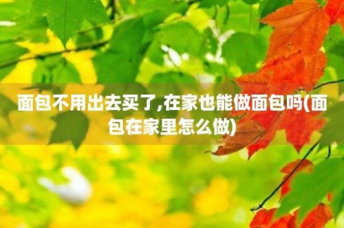 面包不用出去买了,在家也能做面包吗(面包在家里怎么做)