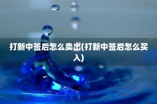 打新中签后怎么卖出(打新中签后怎么买入)