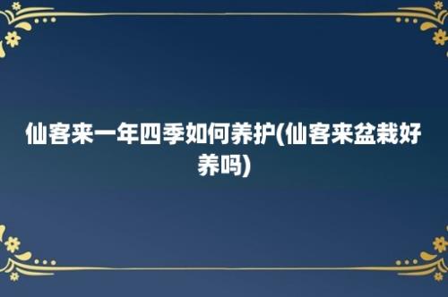 仙客来一年四季如何养护(仙客来盆栽好养吗)