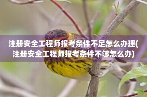 注册安全工程师报考条件不足怎么办理(注册安全工程师报考条件不够怎么办)