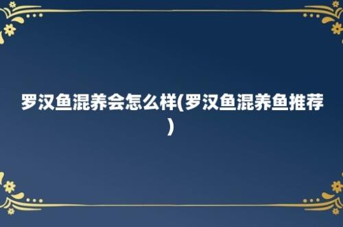 罗汉鱼混养会怎么样(罗汉鱼混养鱼推荐)