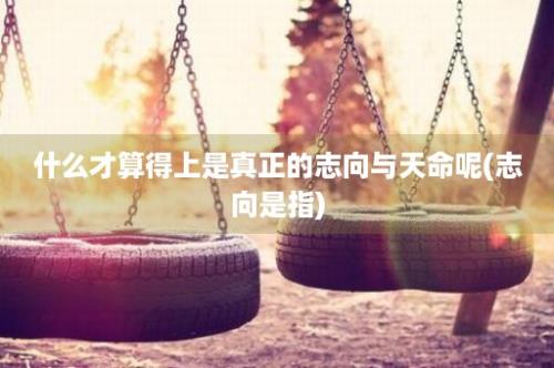 什么才算得上是真正的志向与天命呢(志向是指)