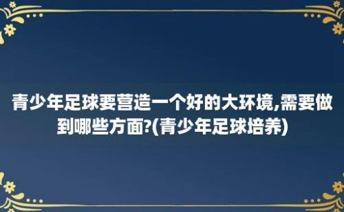 青少年足球要营造一个好的大环境,需要做到哪些方面?(青少年足球培养)