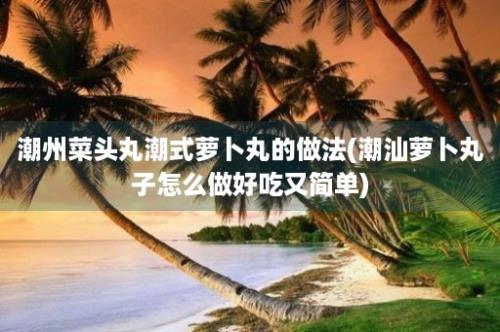 潮州菜头丸潮式萝卜丸的做法(潮汕萝卜丸子怎么做好吃又简单)