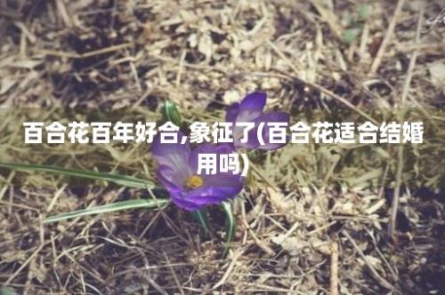 百合花百年好合,象征了(百合花适合结婚用吗)