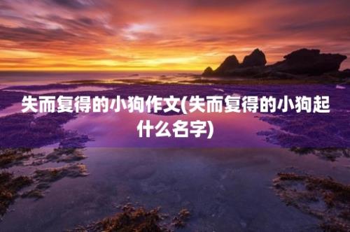 失而复得的小狗作文(失而复得的小狗起什么名字)