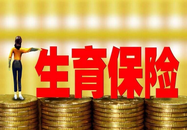 生育保险报销需要提供什么资料