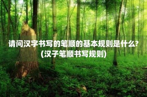 请问汉字书写的笔顺的基本规则是什么?(汉子笔顺书写规则)