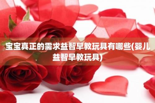 宝宝真正的需求益智早教玩具有哪些(婴儿益智早教玩具)