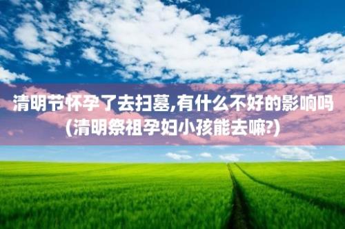 清明节怀孕了去扫墓,有什么不好的影响吗(清明祭祖孕妇小孩能去嘛?)