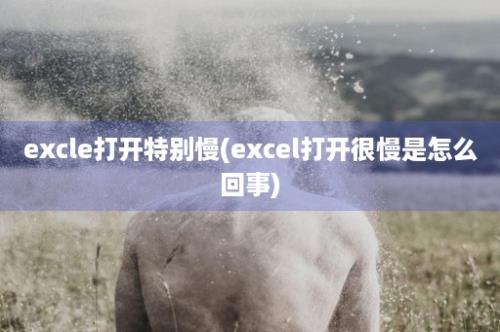 excle打开特别慢(excel打开很慢是怎么回事)