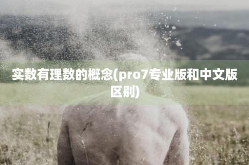 实数有理数的概念(pro7专业版和中文版区别)