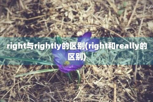 right与rightly的区别(right和really的区别)