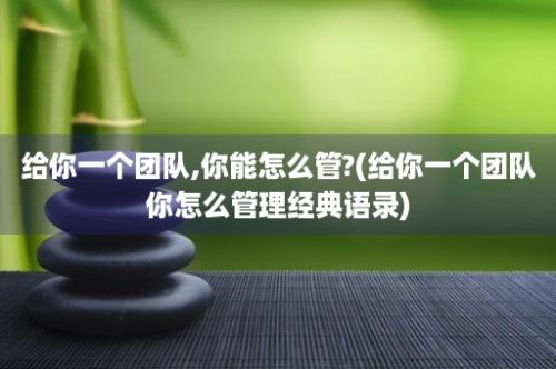 给你一个团队,你能怎么管?(给你一个团队你怎么管理经典语录)