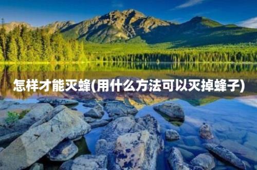 怎样才能灭蜂(用什么方法可以灭掉蜂子)