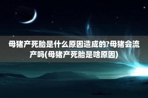 母猪产死胎是什么原因造成的?母猪会流产吗(母猪产死胎是啥原因)