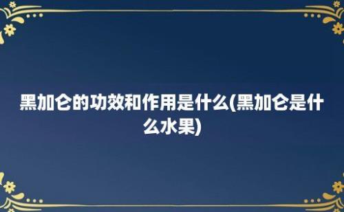 黑加仑的功效和作用是什么(黑加仑是什么水果)