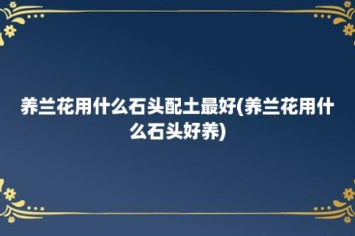 养兰花用什么石头配土最好(养兰花用什么石头好养)