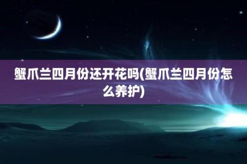 蟹爪兰四月份还开花吗(蟹爪兰四月份怎么养护)