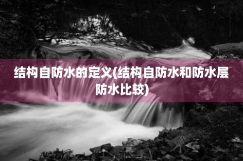 结构自防水的定义(结构自防水和防水层防水比较)