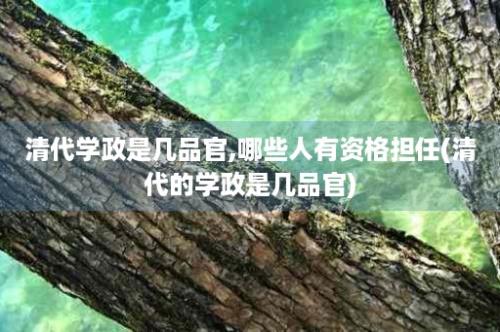 清代学政是几品官,哪些人有资格担任(清代的学政是几品官)