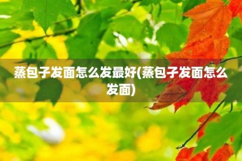 蒸包子发面怎么发最好(蒸包孑发面怎么发面)