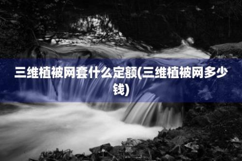 三维植被网套什么定额(三维植被网多少钱)