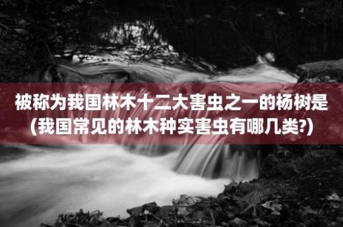 被称为我国林木十二大害虫之一的杨树是(我国常见的林木种实害虫有哪几类?)