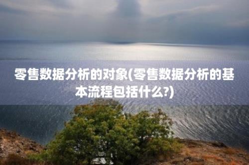 零售数据分析的对象(零售数据分析的基本流程包括什么?)