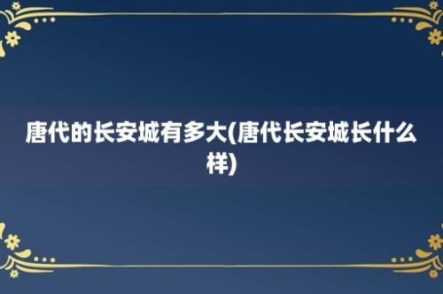 唐代的长安城有多大(唐代长安城长什么样)