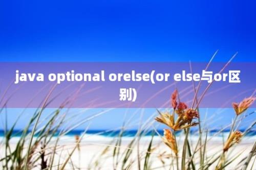 java optional orelse(or else与or区别)