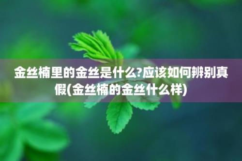 金丝楠里的金丝是什么?应该如何辨别真假(金丝楠的金丝什么样)